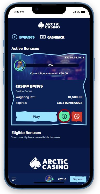 Casino arctic, arctic casino